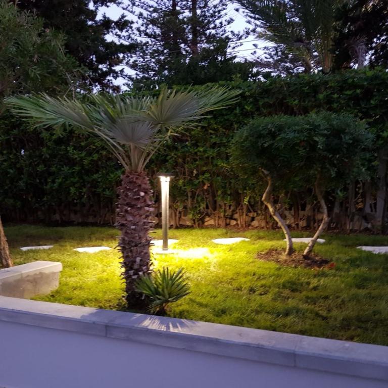 The Great Beauty Apartment - Appartement Supérieur - 3