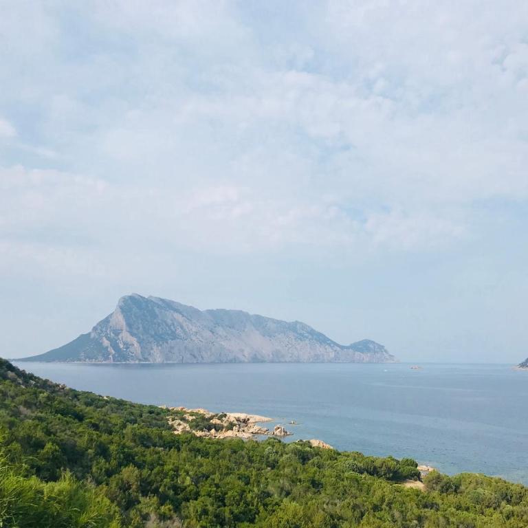 Villa vista mare con piscina - Villa con Piscina Privata - 53