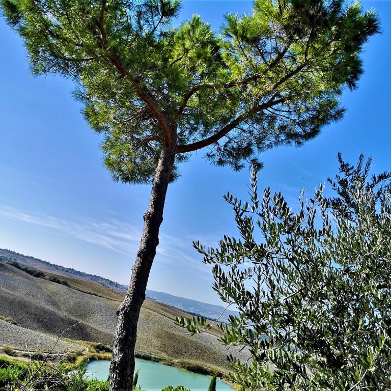Agriturismo Palazzo Conti - B - Appartamento con 2 Camere da Letto - 8