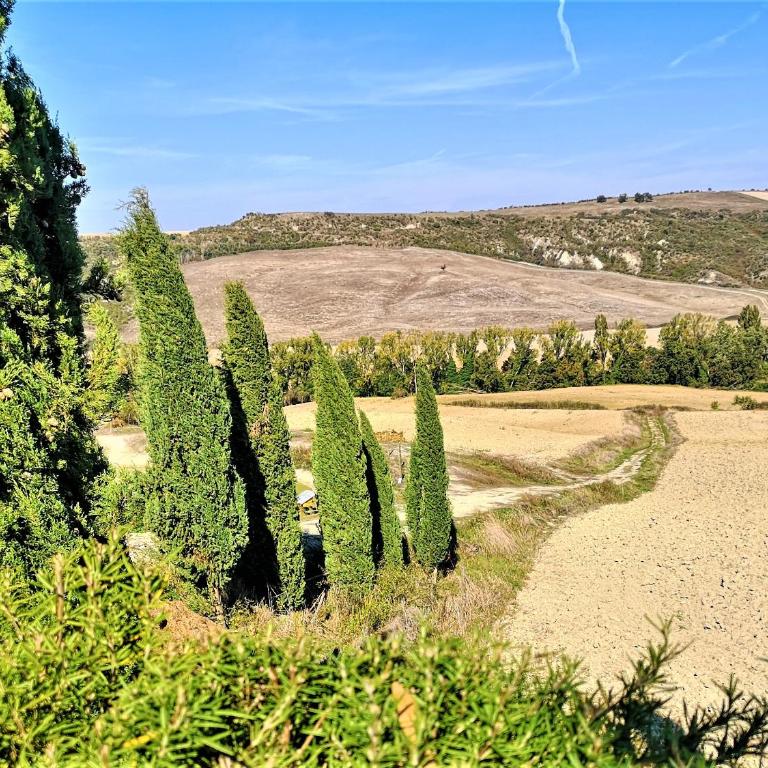 Agriturismo Palazzo Conti - B - Appartamento con 1 Camera da Letto - 8
