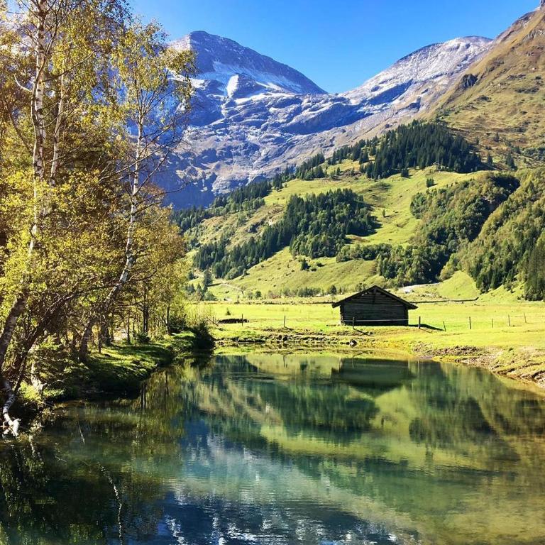 Landhaus Bergner Alm - Apartment mit Blick auf die Berge - 35
