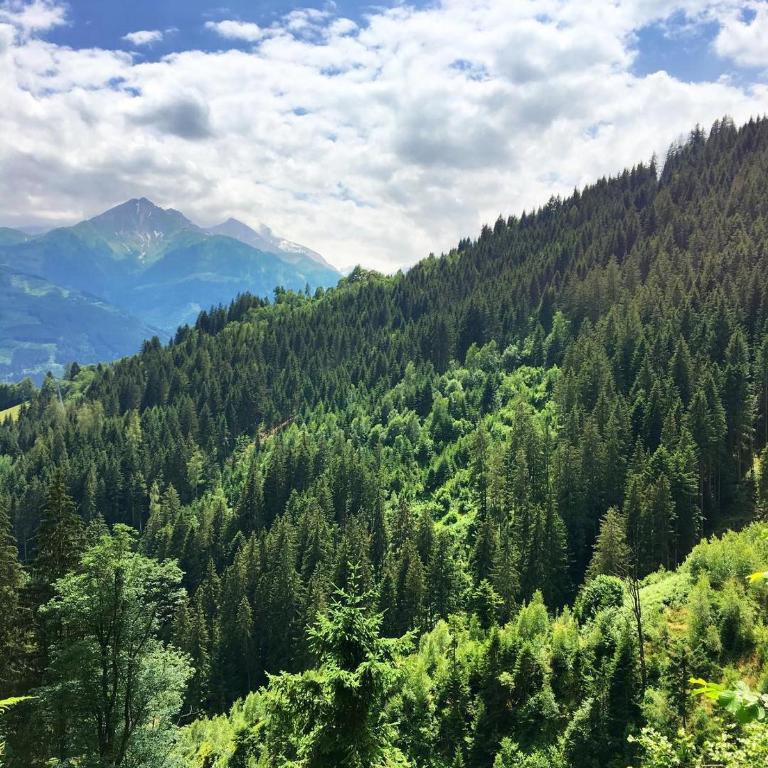 Landhaus Bergner Alm - Apartment mit Blick auf die Berge - 37