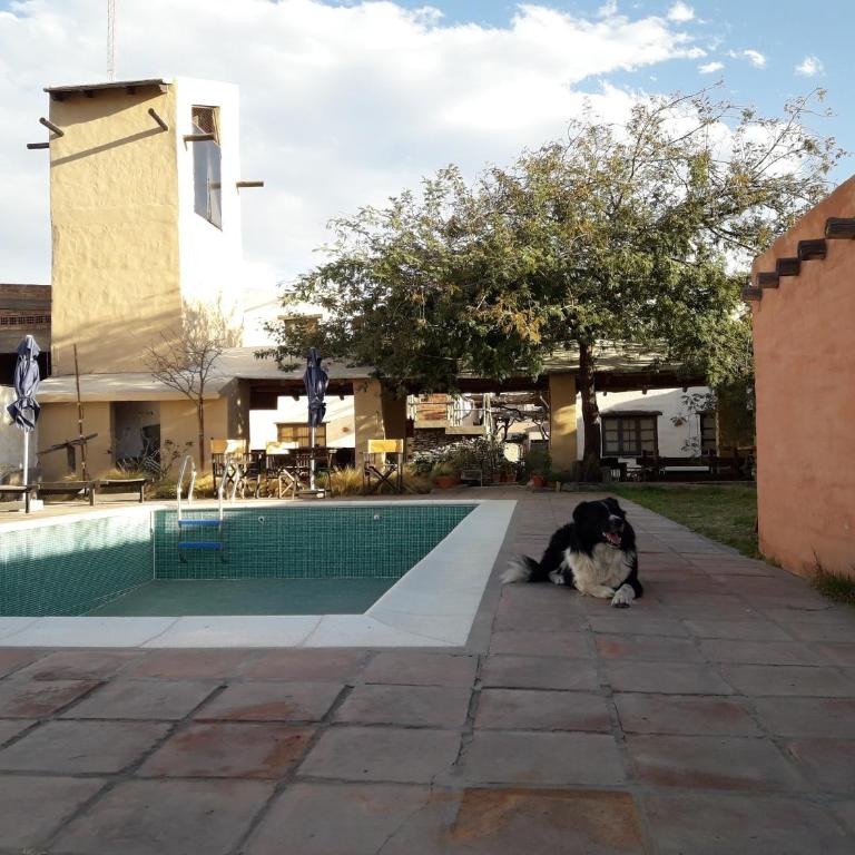 cabañas Yamasu Huasi - Casa - 9