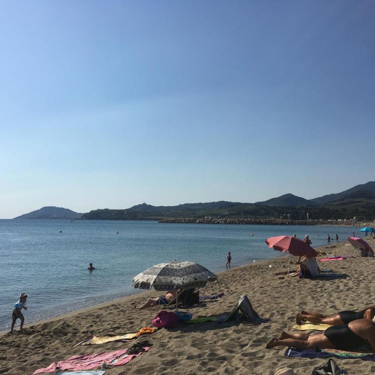 studio, jardin, parking à 100 m de la plage - Studio - 16