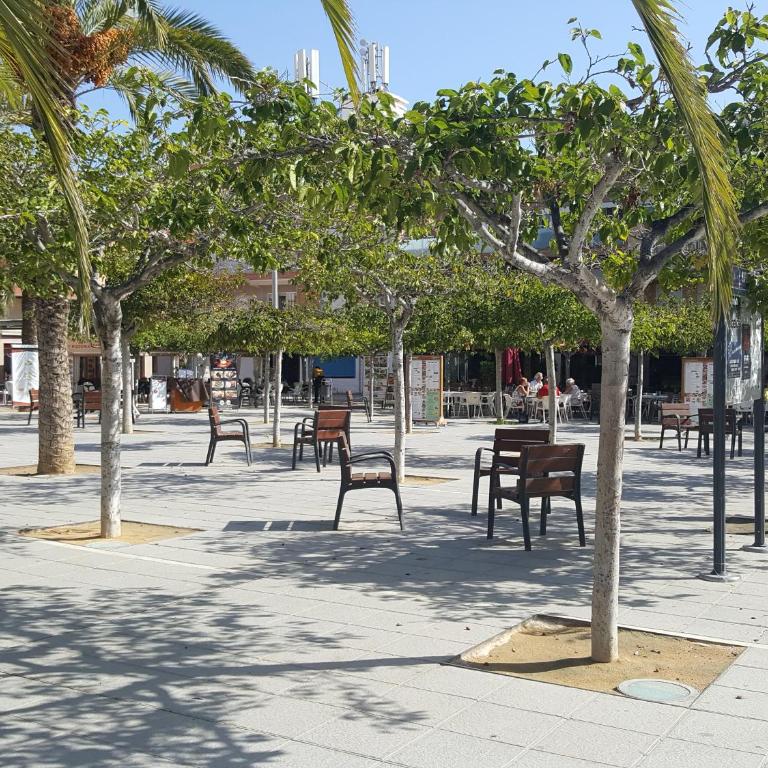 Playa Elisa Bay app 411 - Apartamento - 24