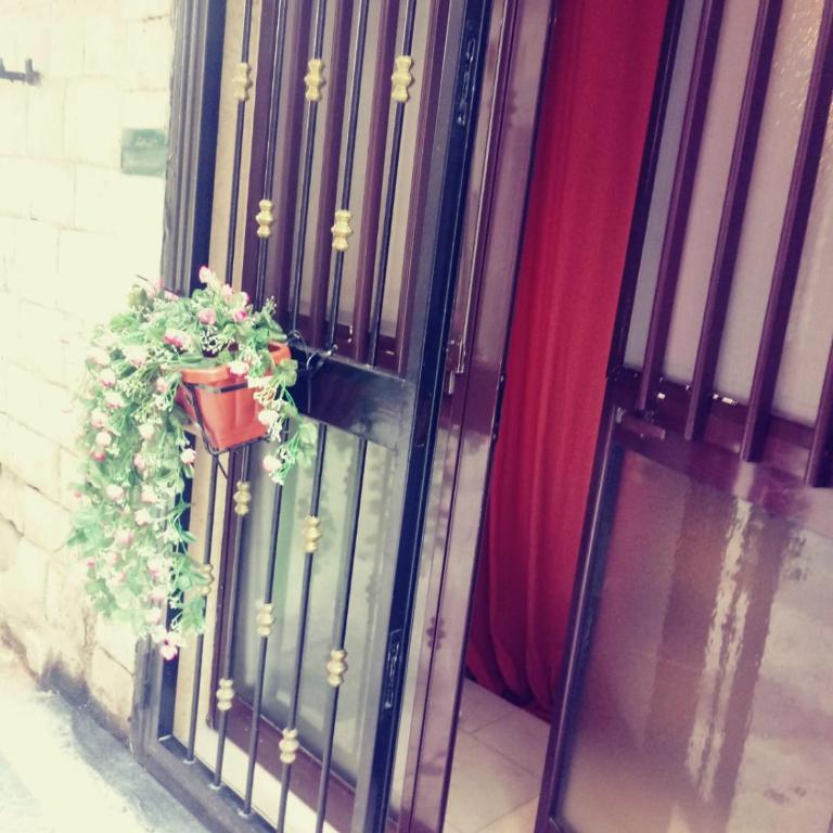 Filioli Apartment - Appartamento - Piano Terra - 13