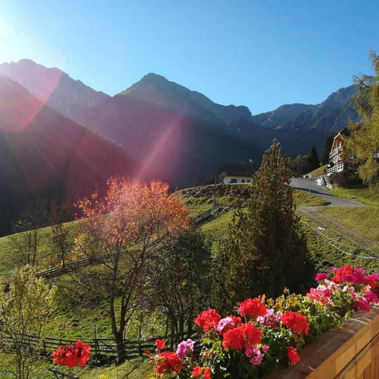 Bigraberhof - Appartamento con 1 Camera da Letto - 2