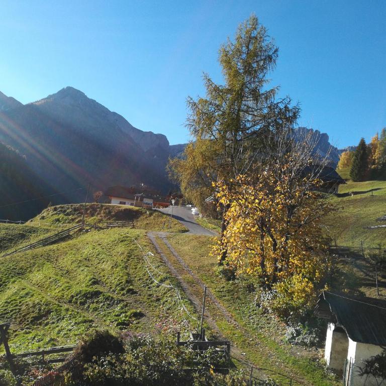 Bigraberhof - Appartamento con Vista Montagna - 3