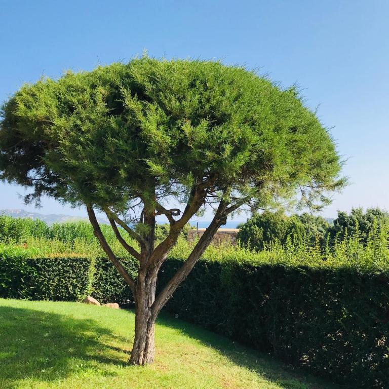 Villa vista mare con piscina - Villa con Piscina Privata - 12