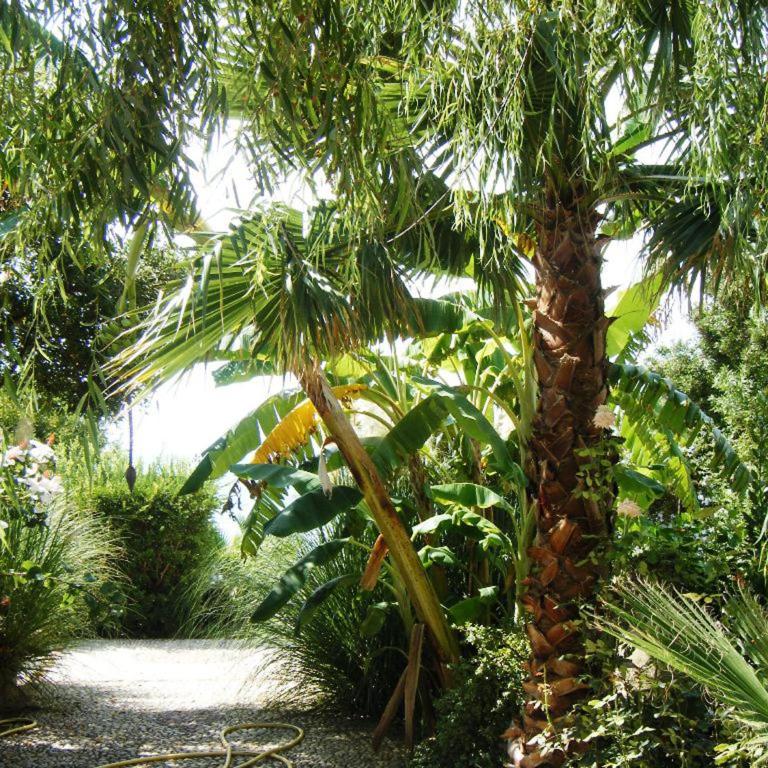 Villa giardino sul mare - Top solarium and garden - Villa Fronte Spiaggia - 6