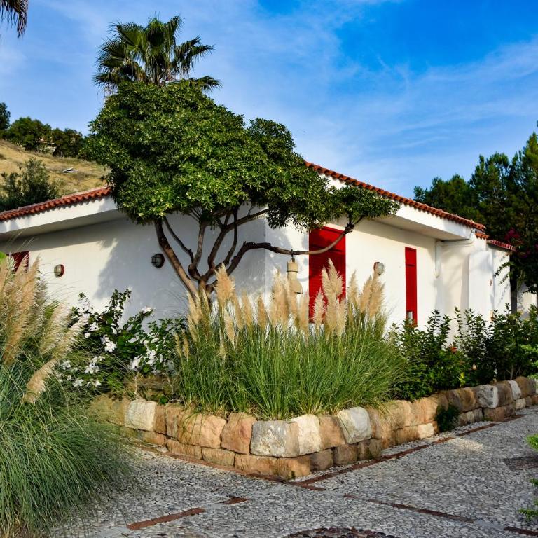 Villa giardino sul mare - Top solarium and garden - Villa Fronte Spiaggia - 7