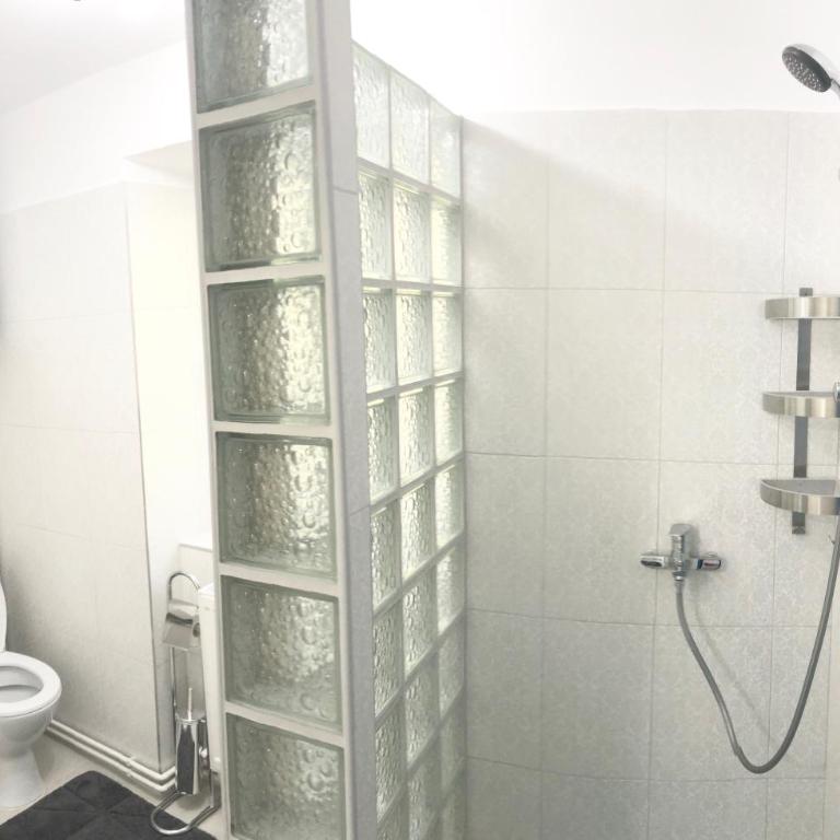 Riverside Ski Apartment - Apartment - 11