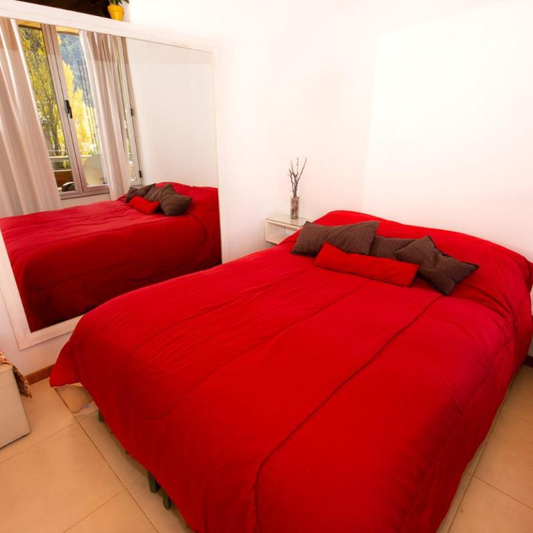 Departamento céntrico San Martín de los Andes - Apartamento - 7