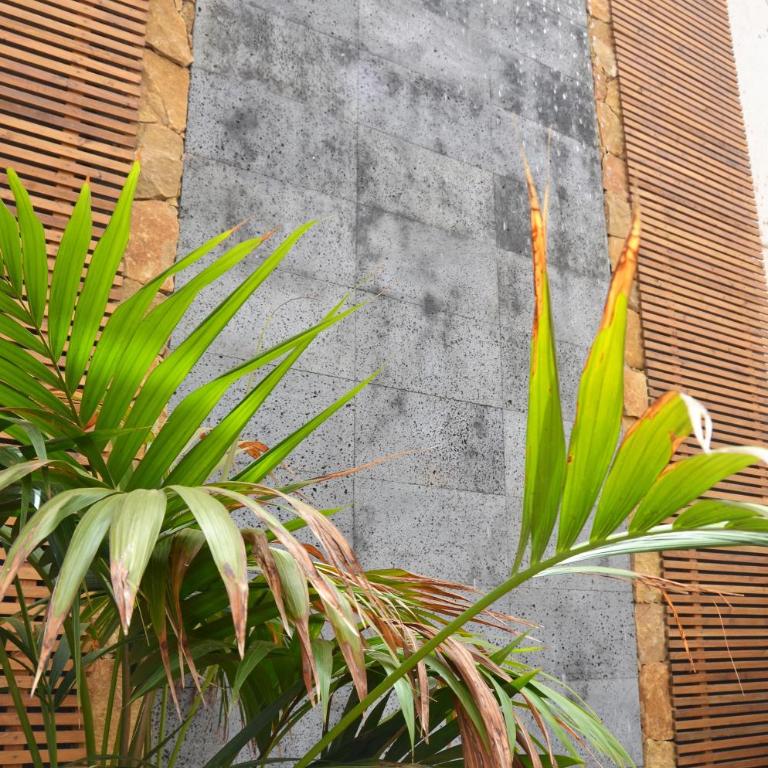 Casa Marinero with Private Pool - Casa - 17