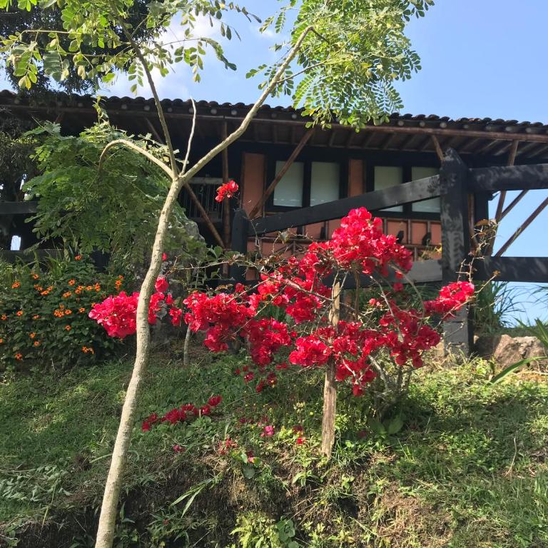 Santa Elena de la Colina - Vacation Home - 64