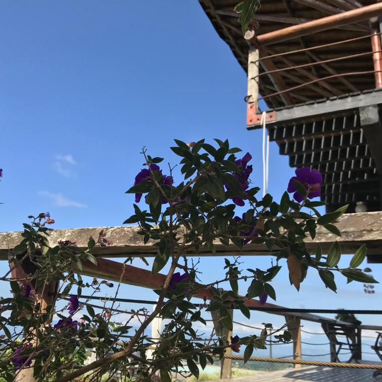Santa Elena de la Colina - Vacation Home - 56