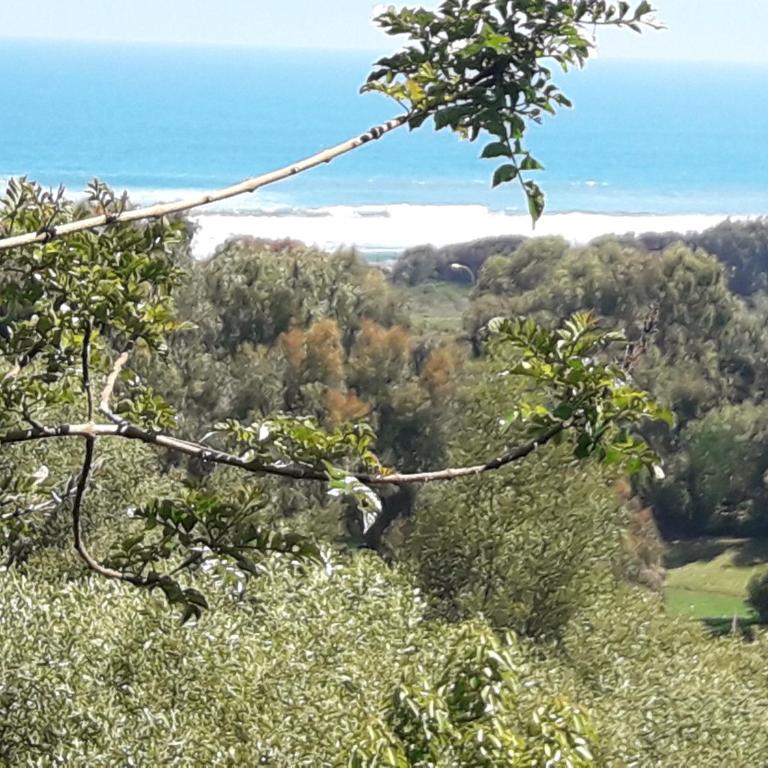 B&B Santo Domingo Chile ENGLISH SPOKEN Gran Departamento compartido desayuno incluido frente al mar PARQUE TRICAO bird sanctuary 14kms 9miles away WIFI GRATIS - Suite Superior con vistas al mar - 1