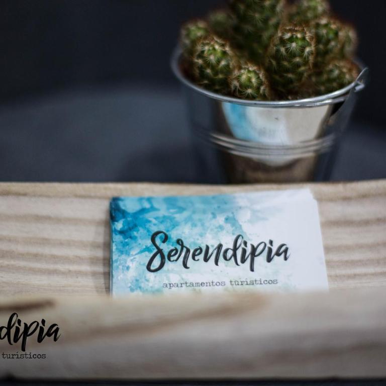 Serendipia - Apartamento de 1 dormitorio - 1