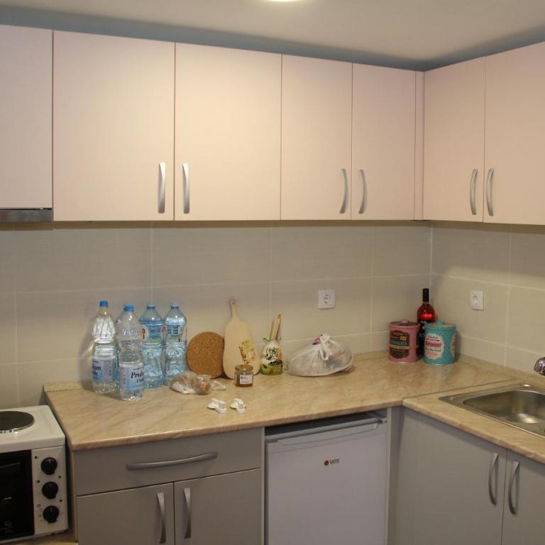 Vila Zlatibor Tornik - Apartman sa Pogledom na Planinu - 13