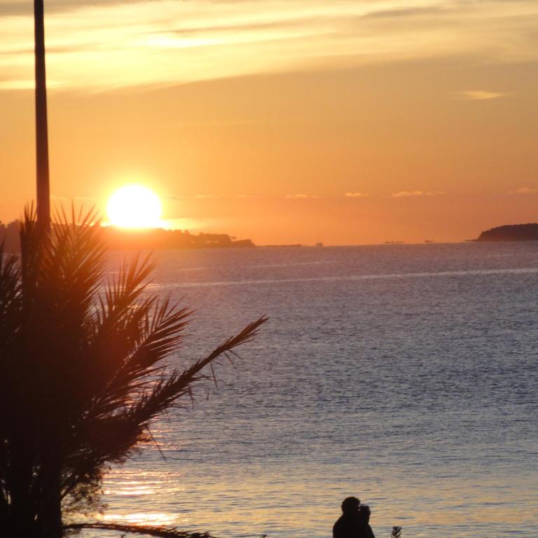 Cannes Terrace Beach Front & Sea view - Apartment mit Terrasse - 1