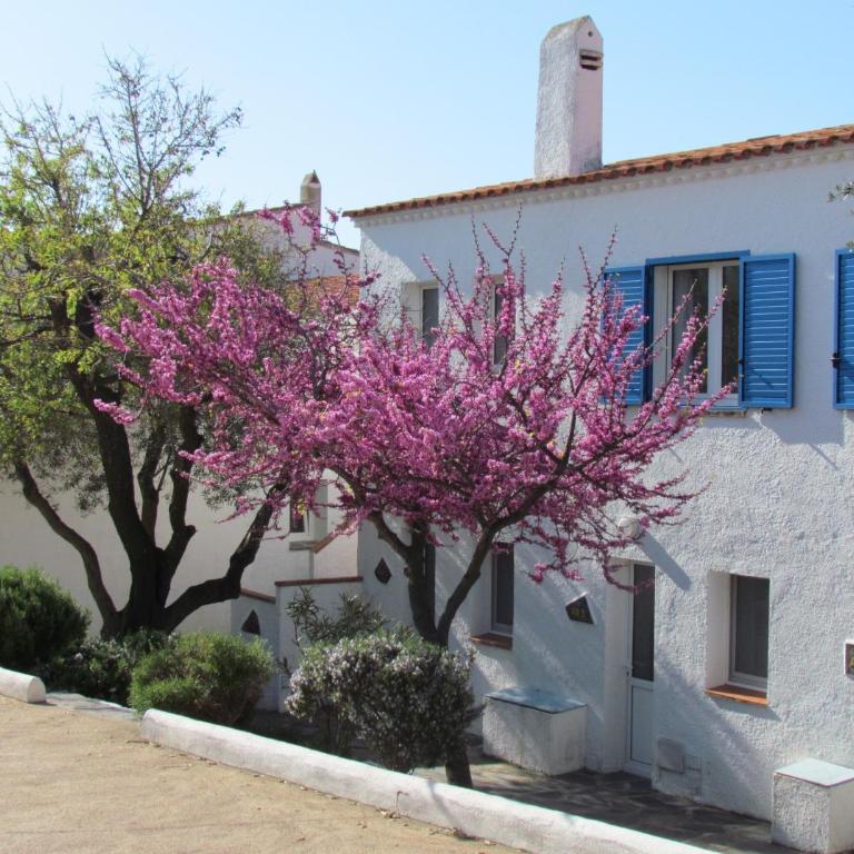 Carpe Diem Cadaqués - Monolocale (2 Adulti) - 6
