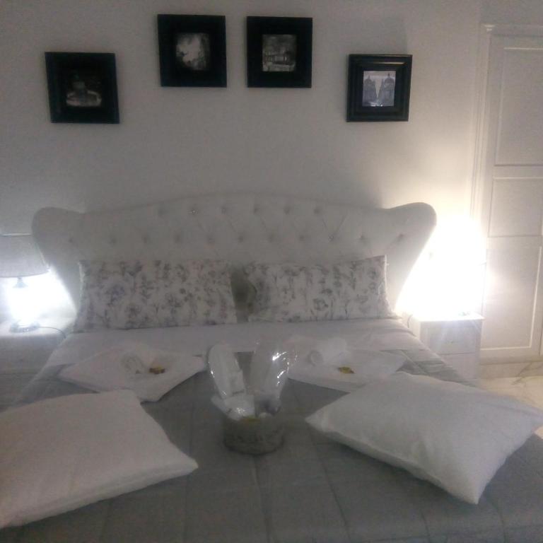 Barberini Dream - Camera King - 26