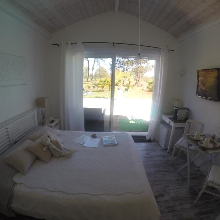 Villa Saint Barth - Chambre Double - Vue sur Jardin - 5