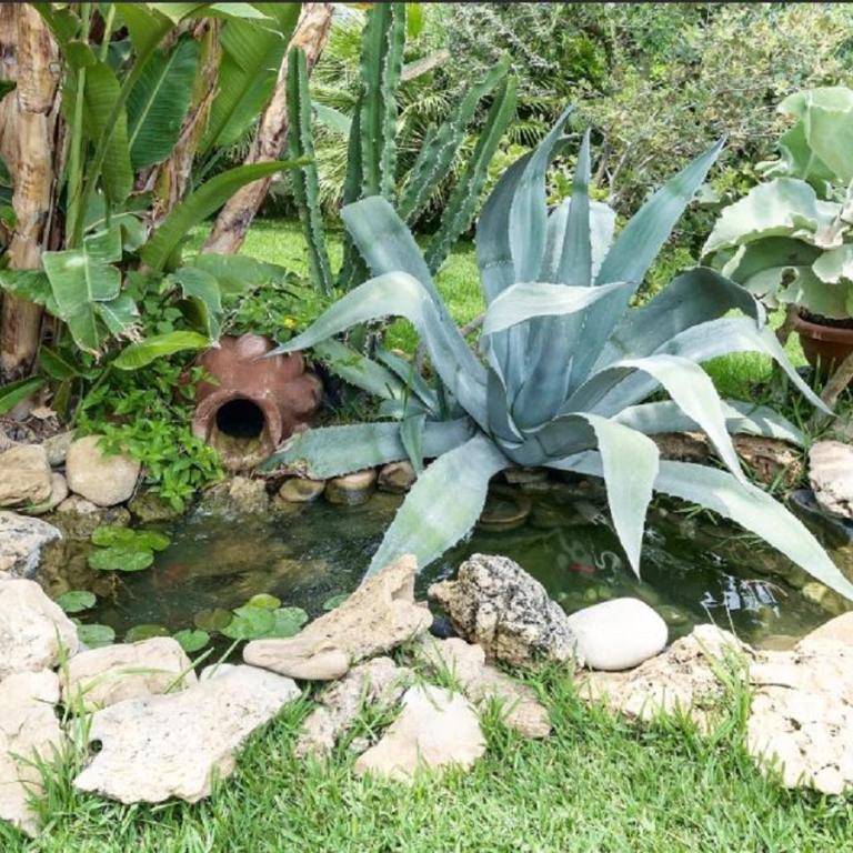 RUMAH SAYA - Villa con Piscina Privata - 12