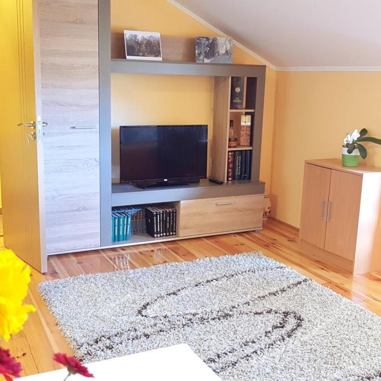 Zlatibor Apartmani DM Tornik - Apartment - 1