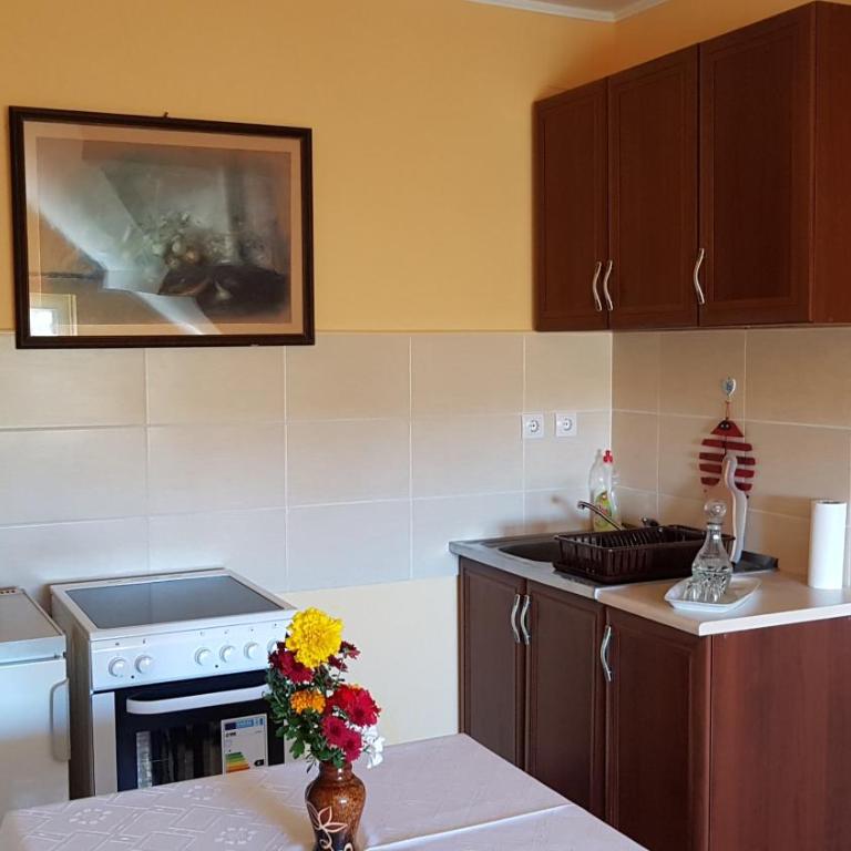 Zlatibor Apartmani DM Tornik - Apartment - 9