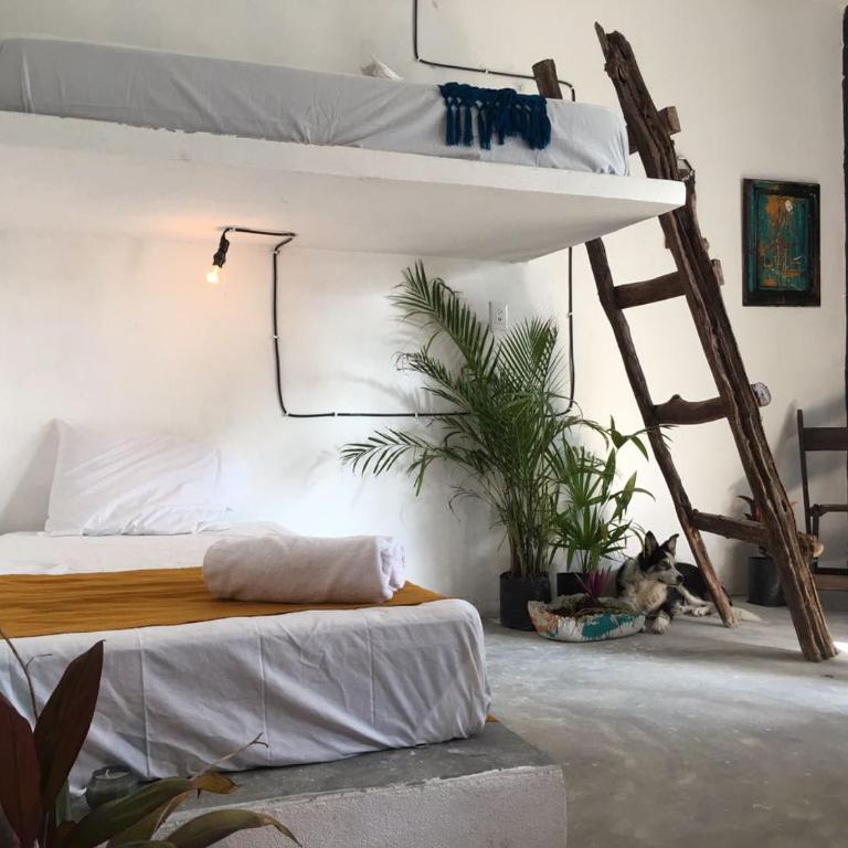 Black Jaguar Hostel - Cama en habitación compartida femenina de 6 camas - 1