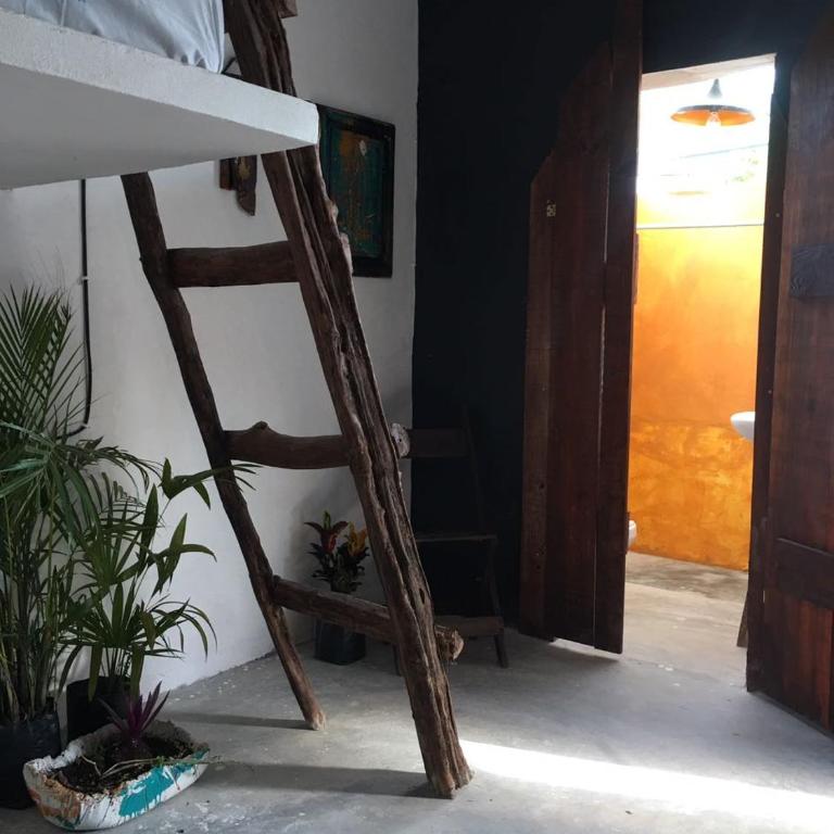 Black Jaguar Hostel - Cama en habitación compartida femenina de 6 camas - 10
