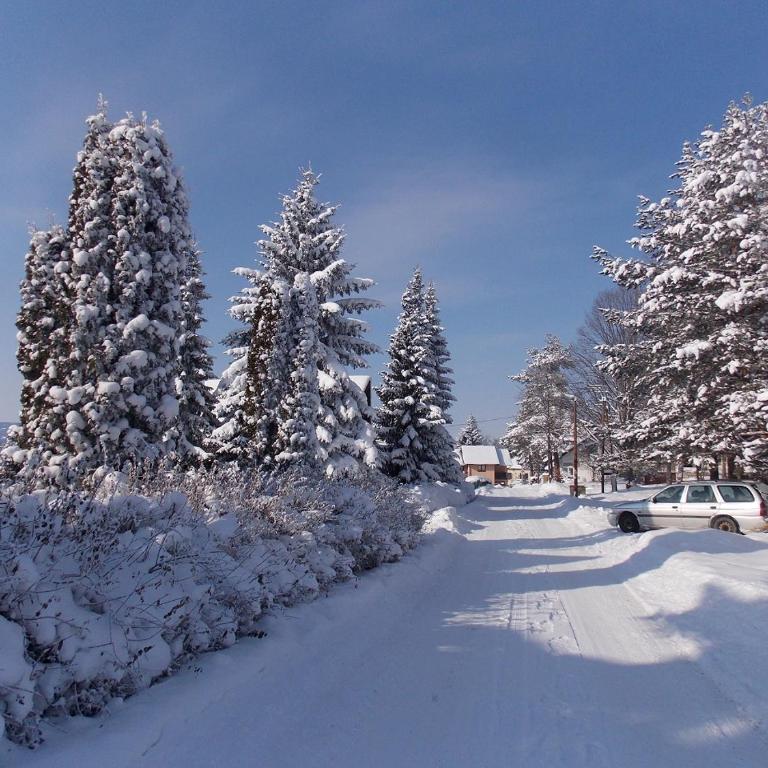 Apartmani OKO Zlatibor - Apartman - 12