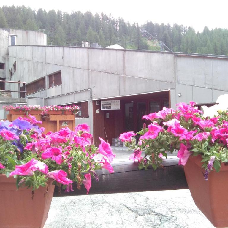 La stella alpina Cervinia Vda Vacanze in Vetta CIR 0250 - Appartamento con 1 Camera da Letto - 63