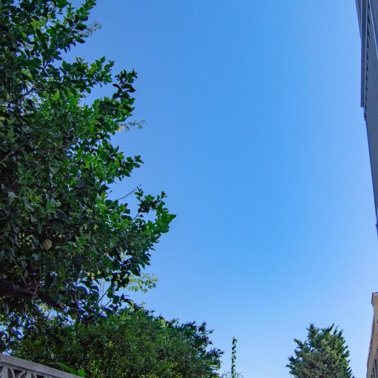 Apartamento jacarplaya - Apartamento - 21