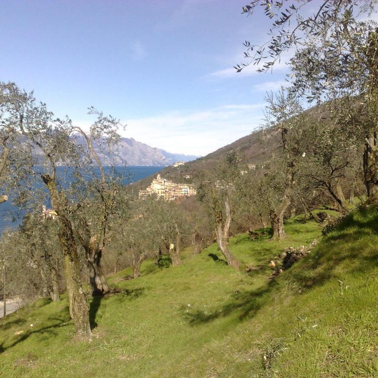 Romantic Dream - Monolocale su 2 Livelli - 22