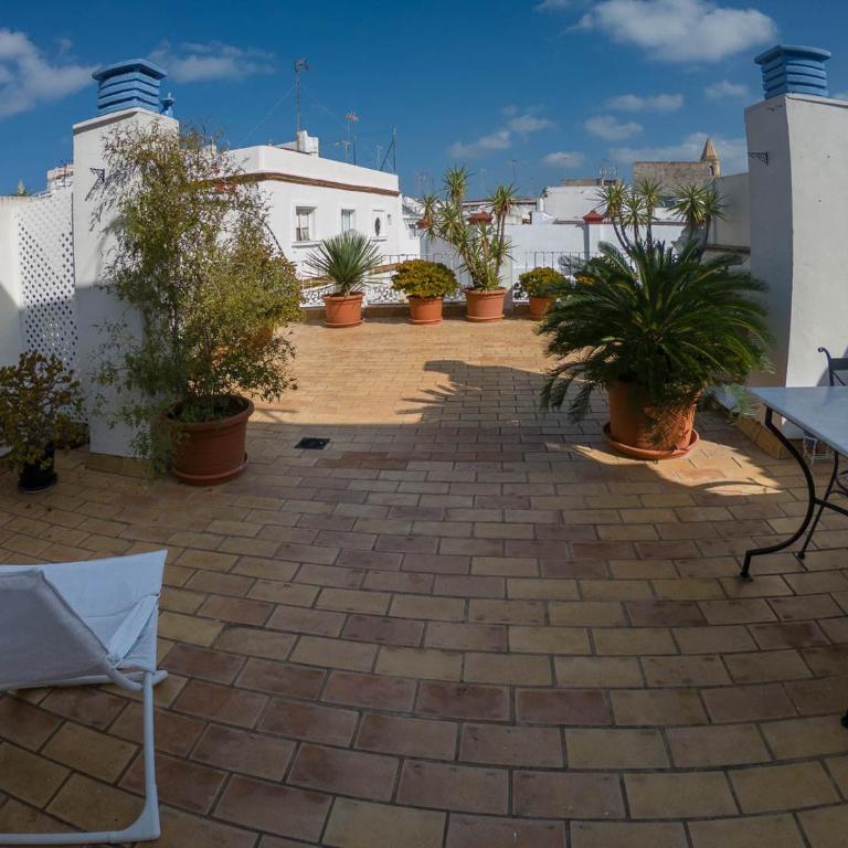 La Terraza del Drago - Apartamento con terraza - 2