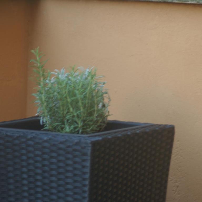 Stayinbologna - Loft - 30