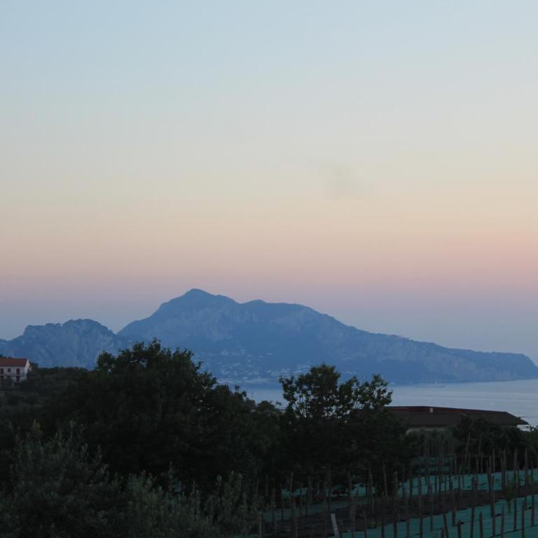 Sunset House - Camera King con Vista Mare - 38