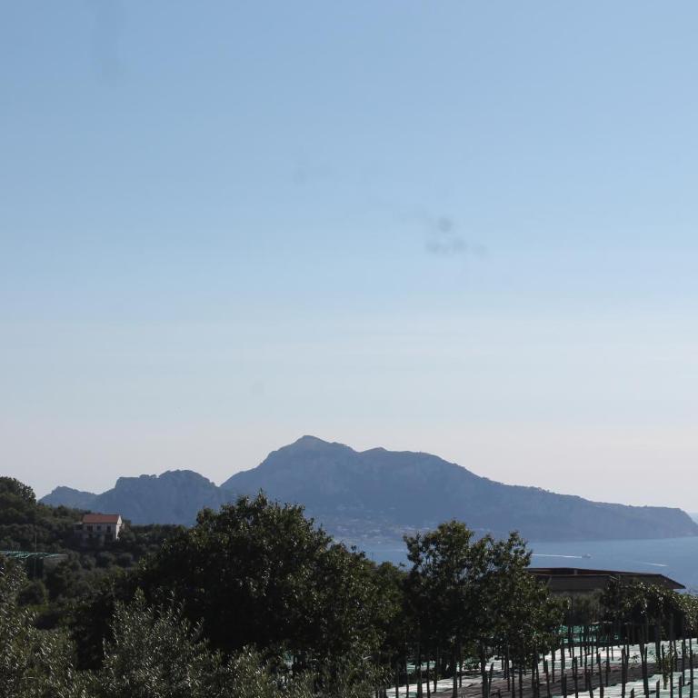 Sunset House - Camera King con Vista Mare - 21