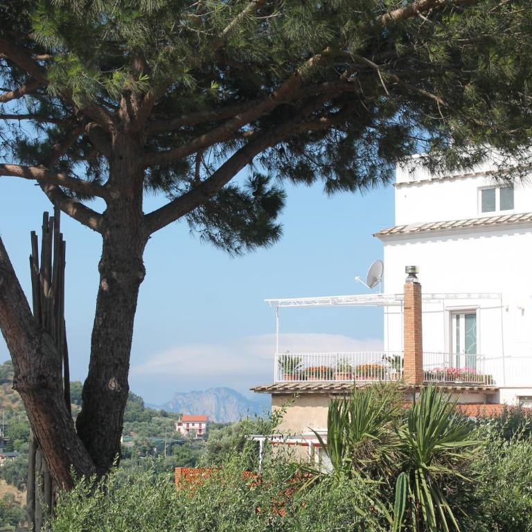 Sunset House - Camera King con Vista Mare - 29