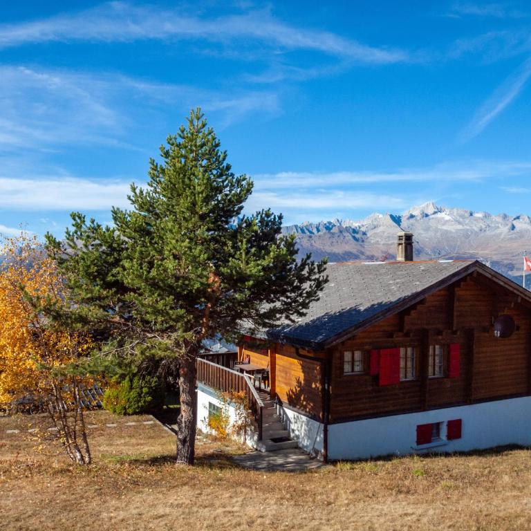 Chalet Elisabeth - Apartment mit Blick auf die Berge - 9