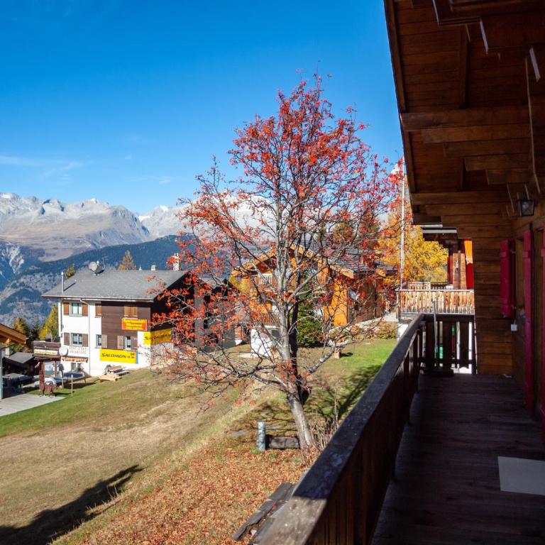 Chalet Elisabeth - Apartment mit Blick auf die Berge - 25