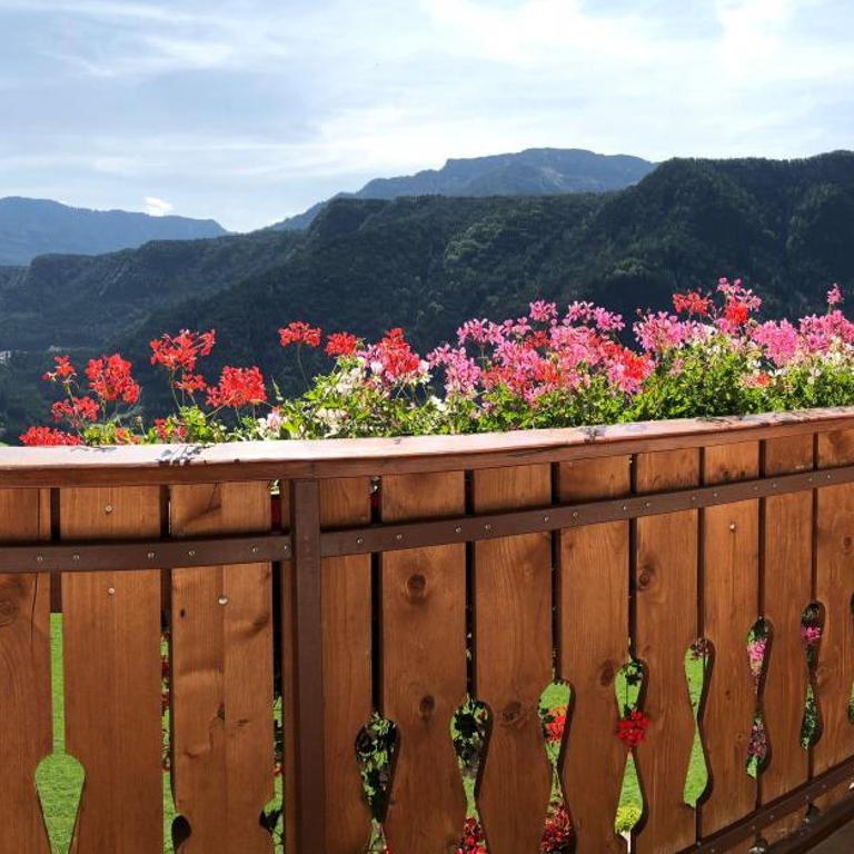 Nature Residence Telfnerhof - Appartamento con Vista Montagna - 2