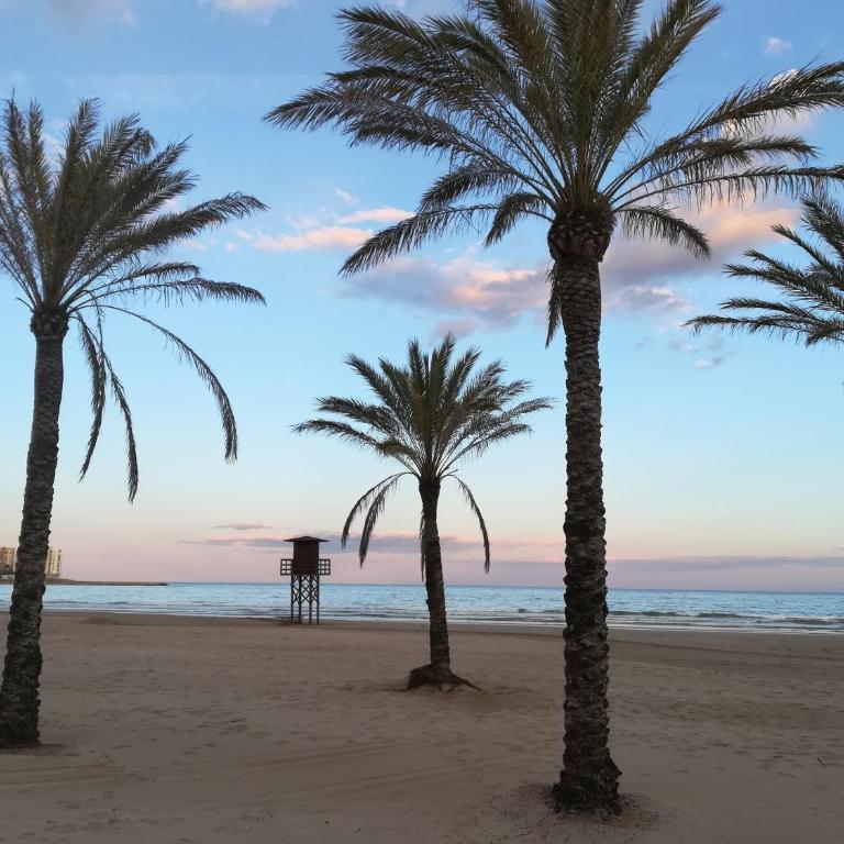 Apartamento Florazar 2, 8ºC - Apartment - 18