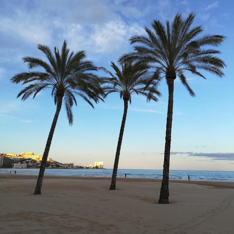 Apartamento Florazar 2, 8ºC - Apartment - 19
