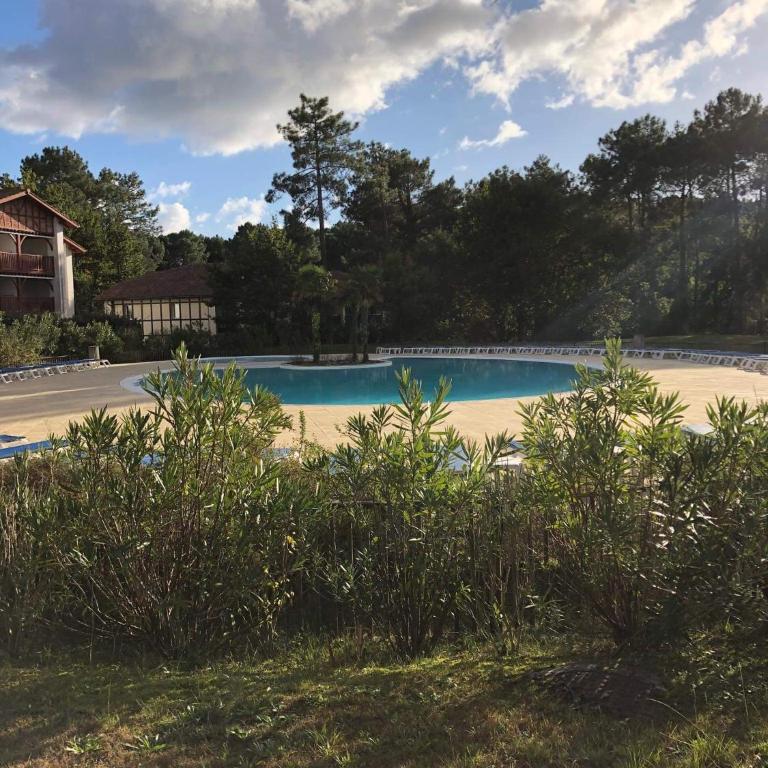 Appartement a loué domaine de gasgogne a biscarrosse - Appartement - 37