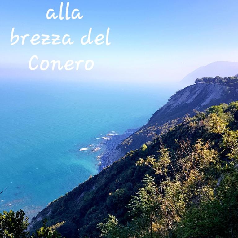 BREZZA DEL CONERO - Appartamento - 1