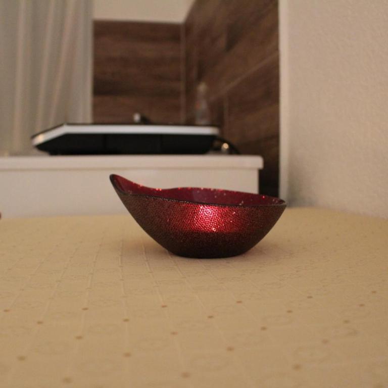 Vlajković apartmani - Apartman - 25