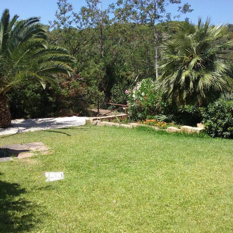 Graziosa Villetta di Naregno a 400 mt dal mare, bel giardino, posto auto e aria condizionata - Casa con 2 Camere da Letto - 8